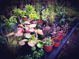 Sight_2017_02_16_211842_348